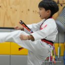 효태권도 이미지