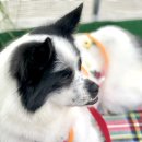 봉선농장 이미지