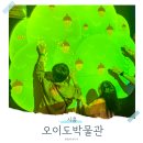 장현농장 | 경기도 시흥 가볼만한곳 안산 실내 아이와 오이도박물관 어린이체험 예약