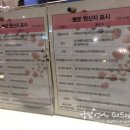 뽀쪼 네이버블로그