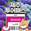제주스타일투어 | 제주투어패스 내돈내산 후기｜사용법과 제주 관광지 입장료 할인 팁