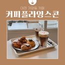 더플라잉버스