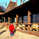 대명목장 이미지