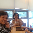 판교노인종합복지관 이미지