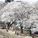 나들목가족공원(2) 이미지