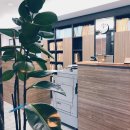 사파동160 이미지