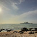 한림환승정류장(한림리)[남] 네이버블로그