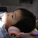 캘리포니아치과의원 | 불소도포 가격 비교 안전성 시작 시기 총정리! 집에서 셀프 불소도포 하는 꿀팁까지