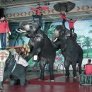 가을목장 이미지