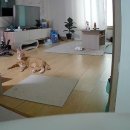 방화목장 이미지