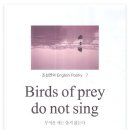 조성연 - Birds of Prey Do Not Sing 이미지