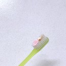 [임산부 치약 내돈내산] 시린이 / 잇몸 관리 네오시린큐, 잇치 3개월 사용 후기