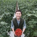 팜파머