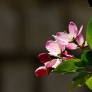 하얀마음 이미지