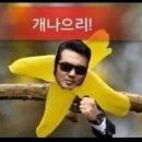 멕시칸치킨 네이버블로그
