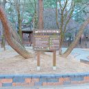 엄사중앙어린이공원 | 계룡시의 도심 속 오아시스, 엄사중앙어린이공원의 모든 것