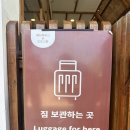 도도네 | 보홀 마사지 받으러 도도스파 다녀온 솔직한 후기