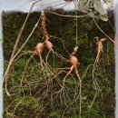 천종농장 이미지