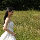 [Wedding #6] 제주스냅 하이재이 꿀팁 촬영 후기 | 드레스 대여, 헤어, 메이크업