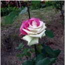 물놀이가자 이미지