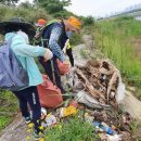 23/07/29 가톨릭환경연대, 흔들리면서도 함께 한 30년 - 7월 29일 창립 30주년 기념미사 봉헌 이미지