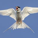 Latest News Reading 이미지