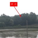 여주-1129 이미지