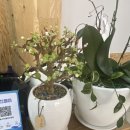 울산3대밀면신정점 이미지