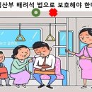 홍한비 | 시사토론 : 임산부 배려석 법으로 보호해야 한다