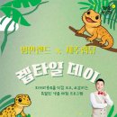 랩타일제주