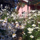 (주)농업회사법인오케이 이미지