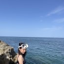 바다안애