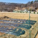 처인공인중개사사무소 이미지