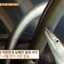 군령포마을 네이버블로그