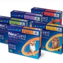 늘픔온누리약국 이미지