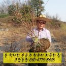 큰집농장 이미지