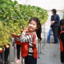 이준구농장 이미지