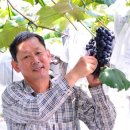 새한농원 이미지