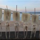 후포보건진료소 이미지