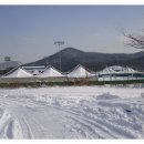 론볼경기장 이미지