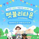 펫블리 한국일보