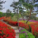 시화프라자약국 이미지