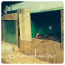 삼닭농장 이미지