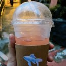 몽에덴