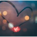 사랑문구 이미지