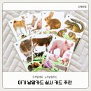 아기 낱말카드 굿게임에듀 노리낱말카드 다양한 주제 실사 추천