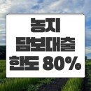희망영농 | 농지담보대출 스트레스 DSR 해결하고 한도 최대로 받아낸 후기