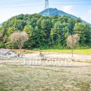 기성목장 이미지