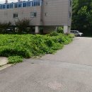 양청중학교 이미지