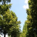 패밀리공원 이미지